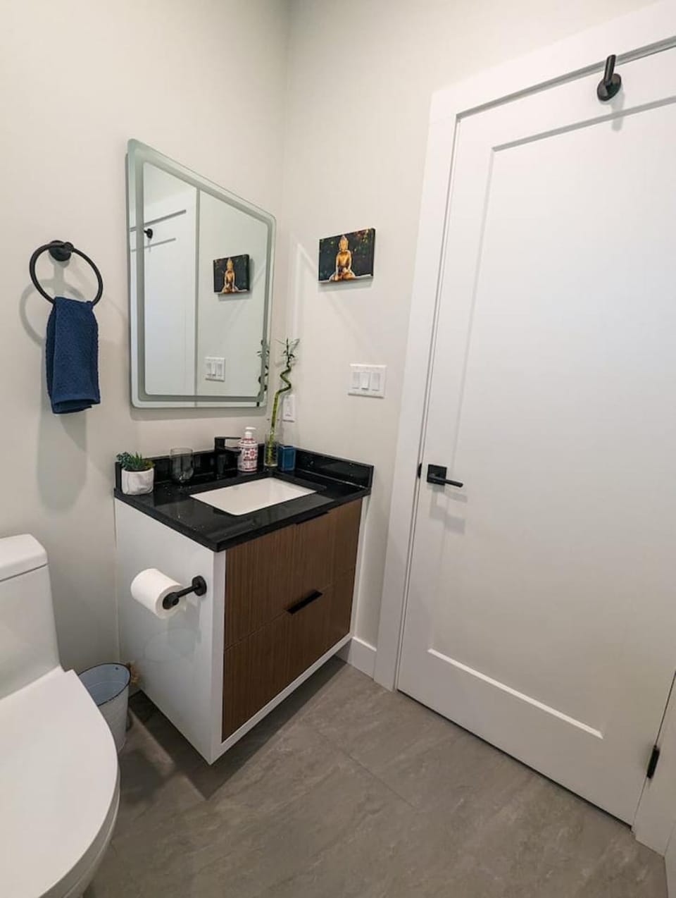 Luxury Mountain Retreat - Sauna, Hot Tub, EV Charging, Chief Views House in Squamish