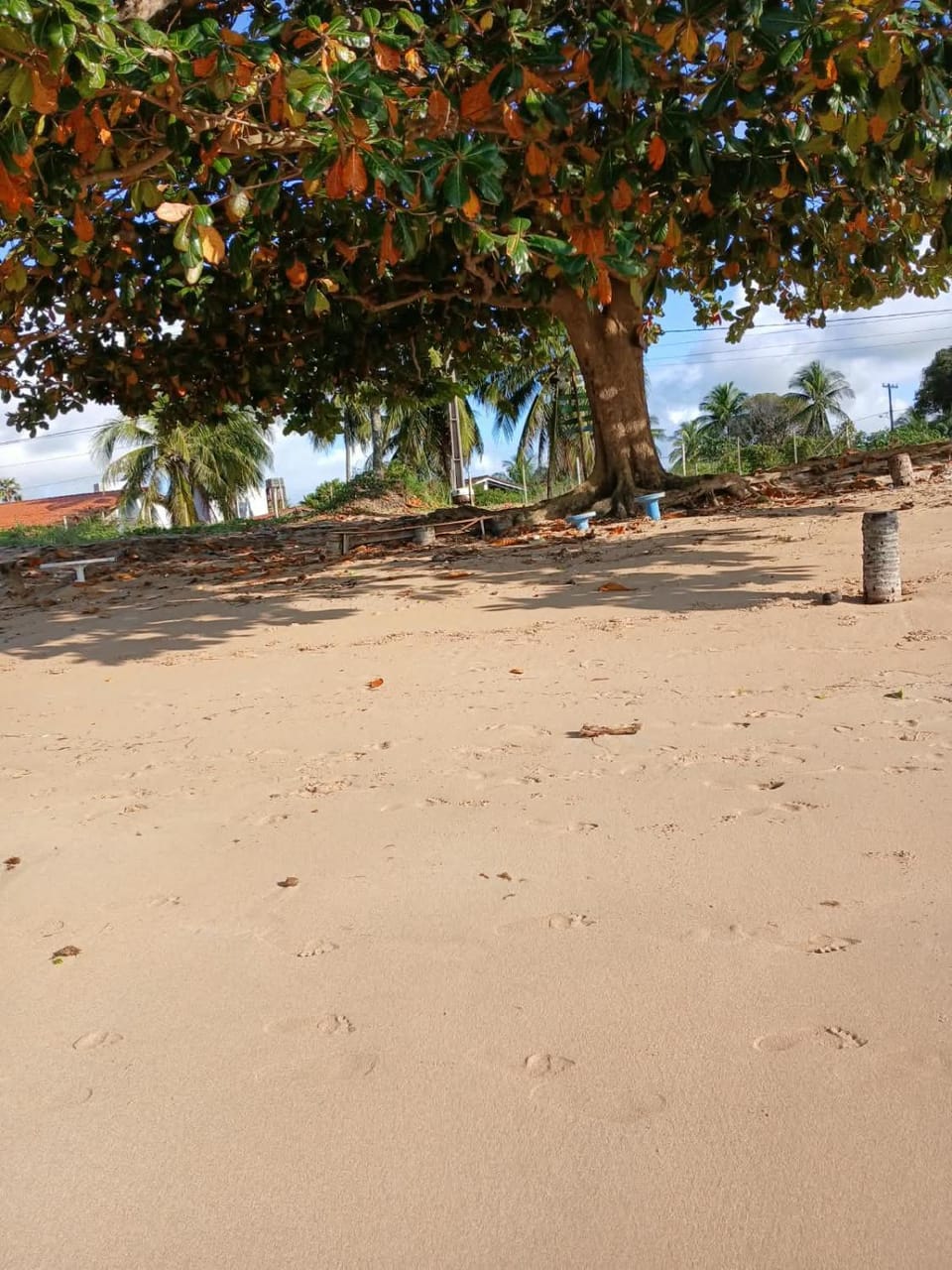 Day, Natural landscape, Beach, Sea view