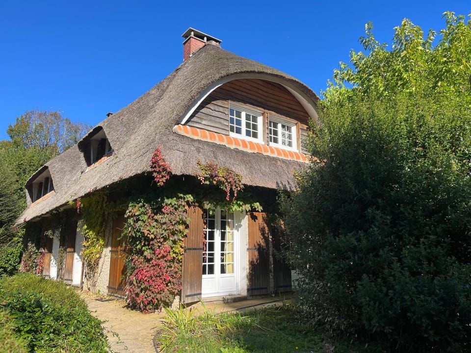Property building, Garden, Garden view