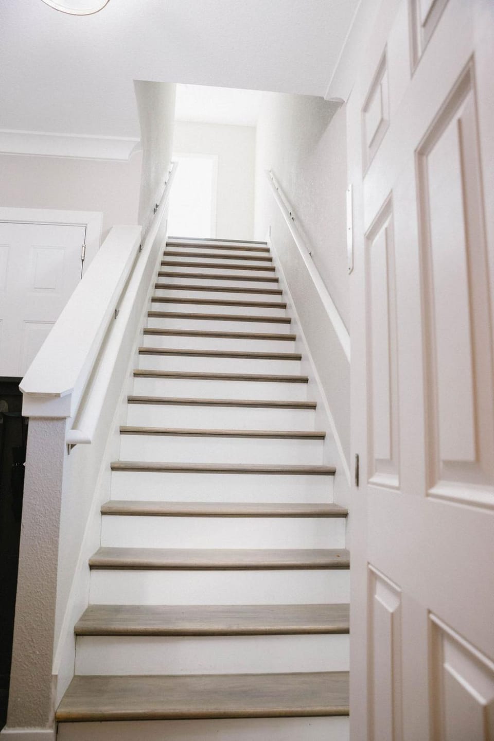 New 4BR Coastal Flat • Walk to Beach & Dome Apartment in Virginia Beach