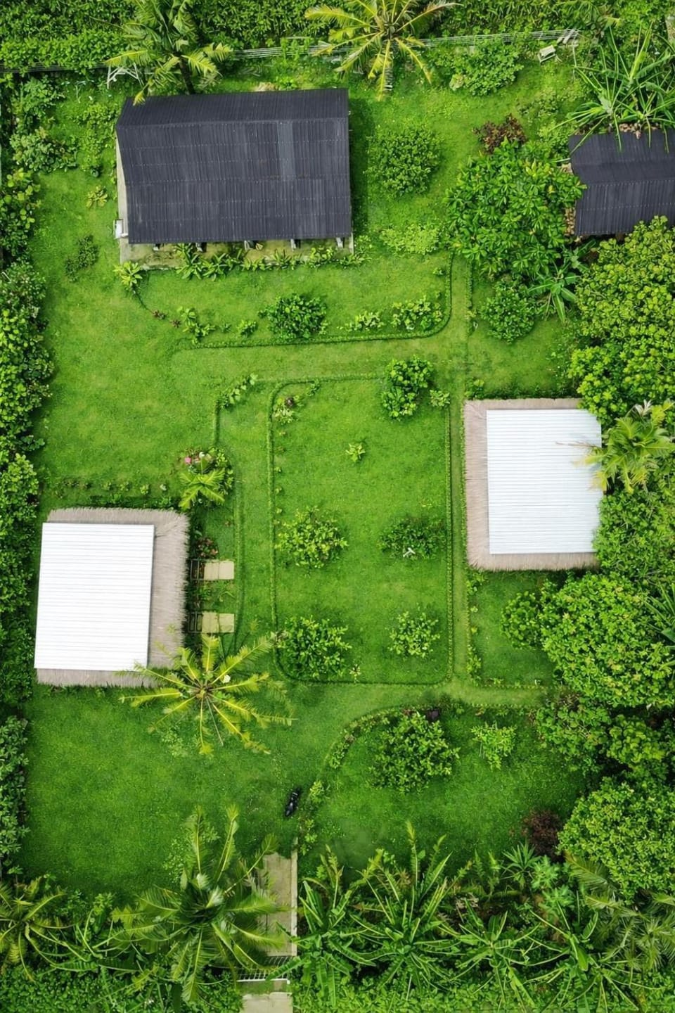 Day, Natural landscape, Bird's eye view, Garden, Garden view