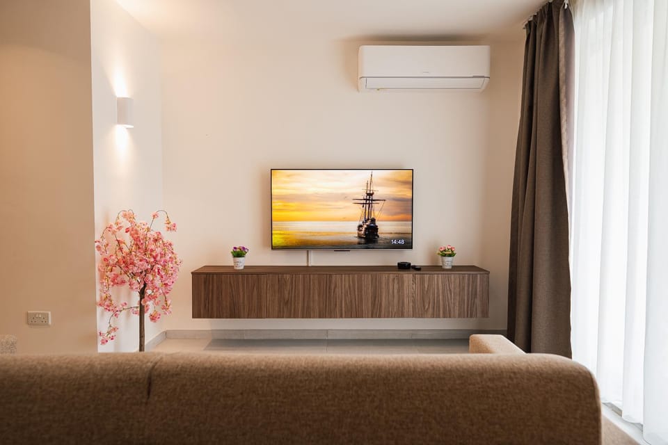 TV and multimedia, air conditioner