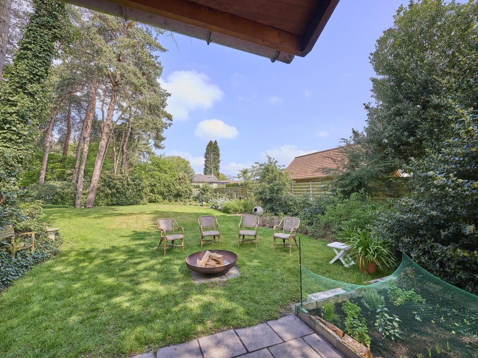 Summer, Garden