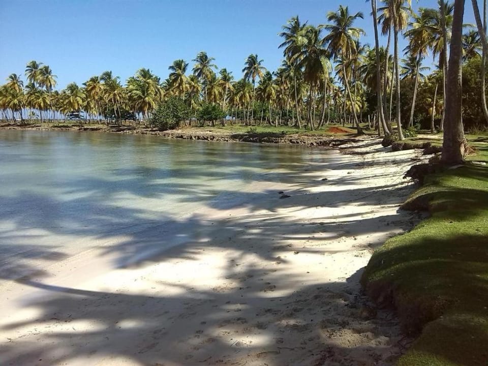 Beautiful room in Las Galeras Apartment in Samaná Province