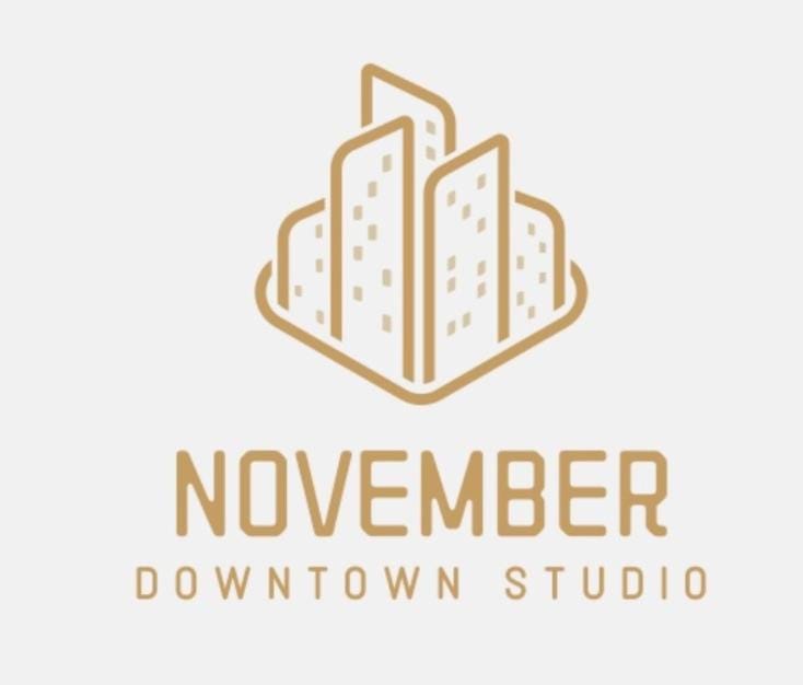 November Downtown Studio Apartment in Timiș County