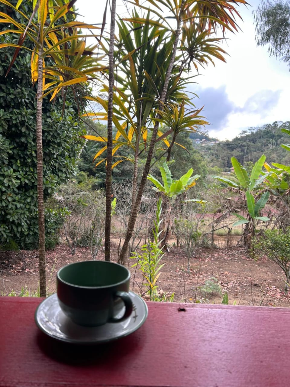 Natural landscape, Garden, Garden view