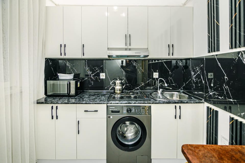 Kitchen or kitchenette, stove, washing machine