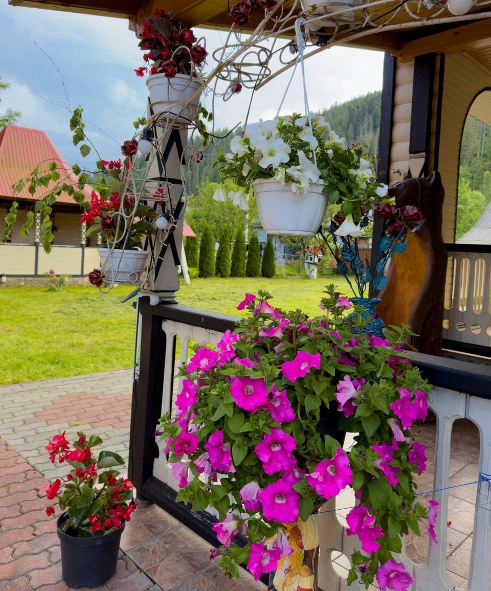 Карпатський рай House in Ukraine