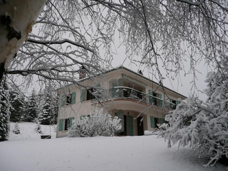 Winter