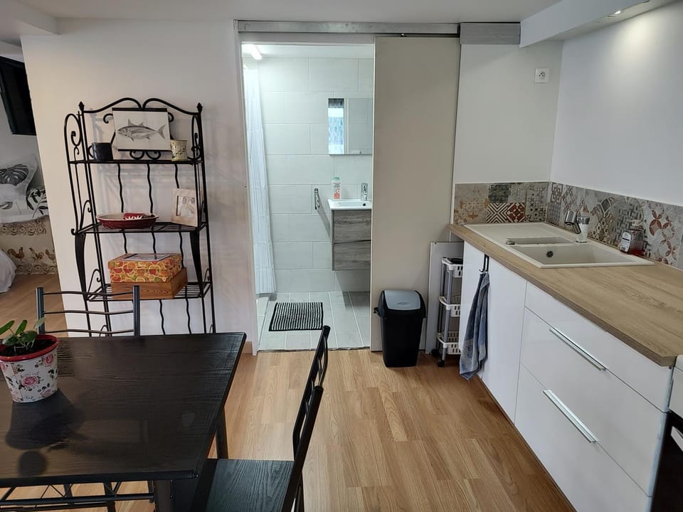 Logement 35m2 en rez de chaussée de notre maison, terrasse couverte , espace extérieur, parking privé fermé, a 3 km du centre ville du puy en Velay, tous commerces alimentaires à 200metres Apartment in Auvergne-Rhône-Alpes