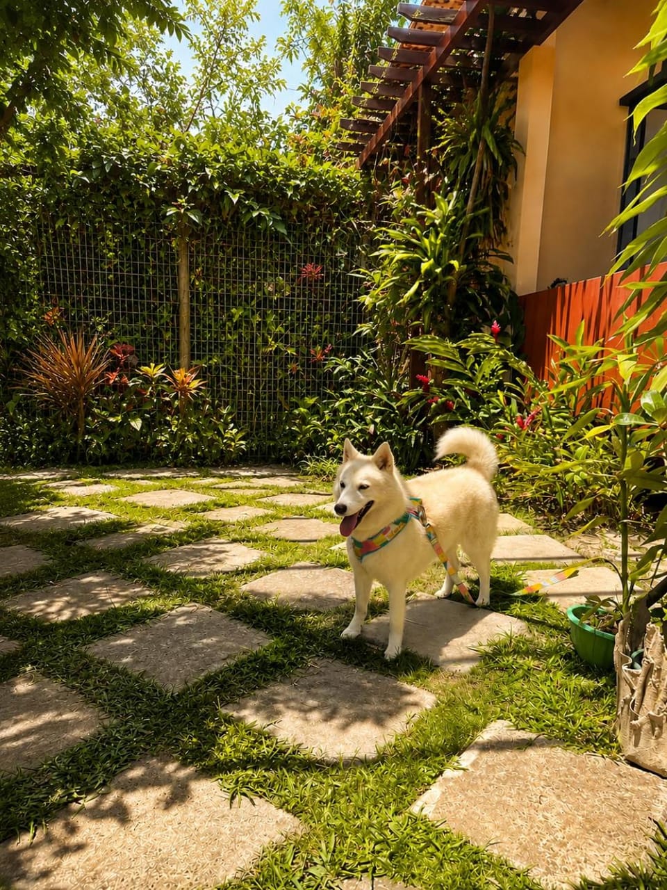 Garden, Pets