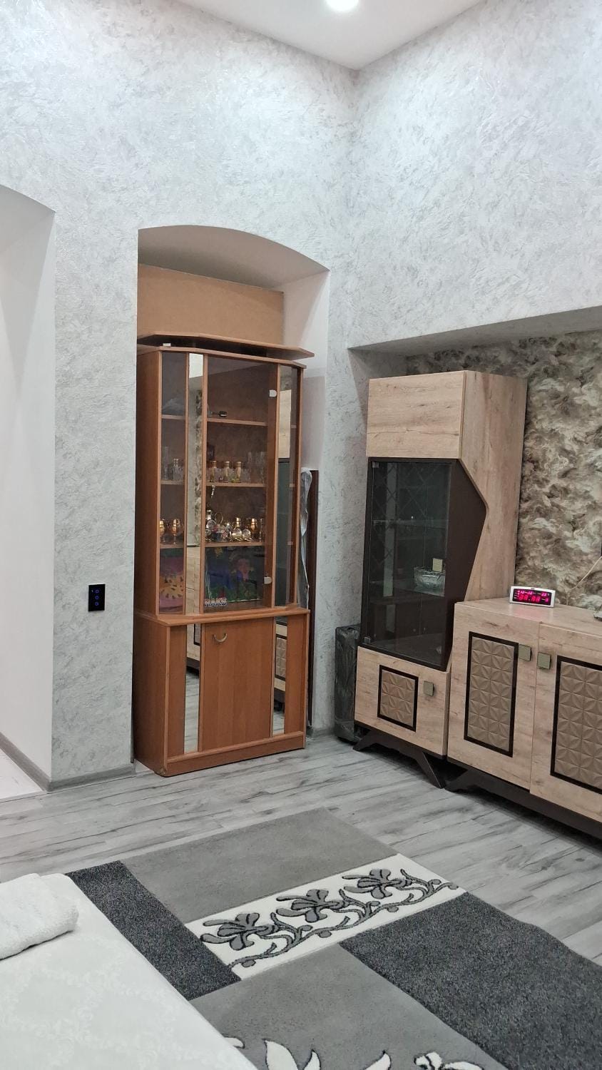1 комнатная квартира в центре города Баку Apartment in Baku