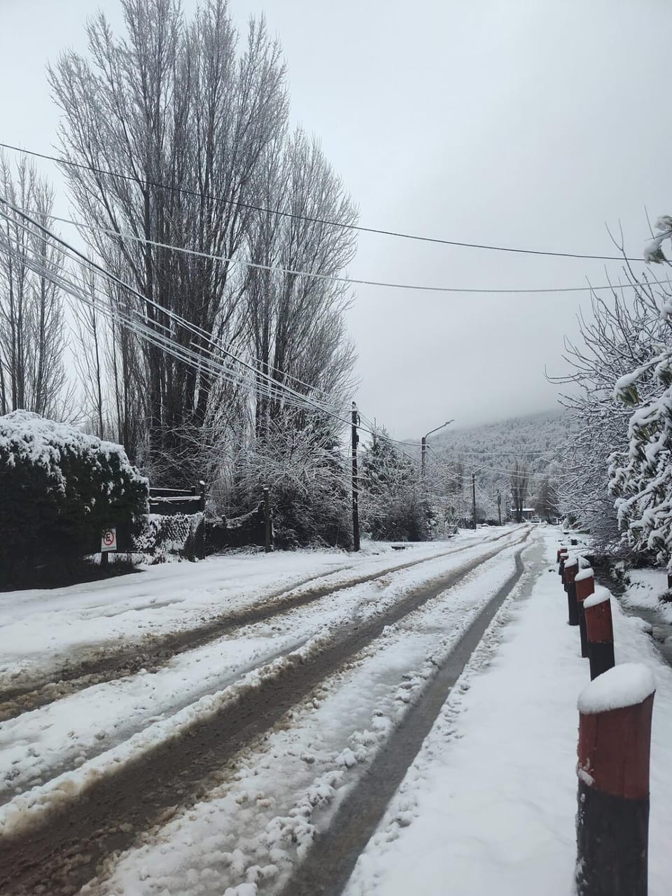 Neighbourhood, Winter