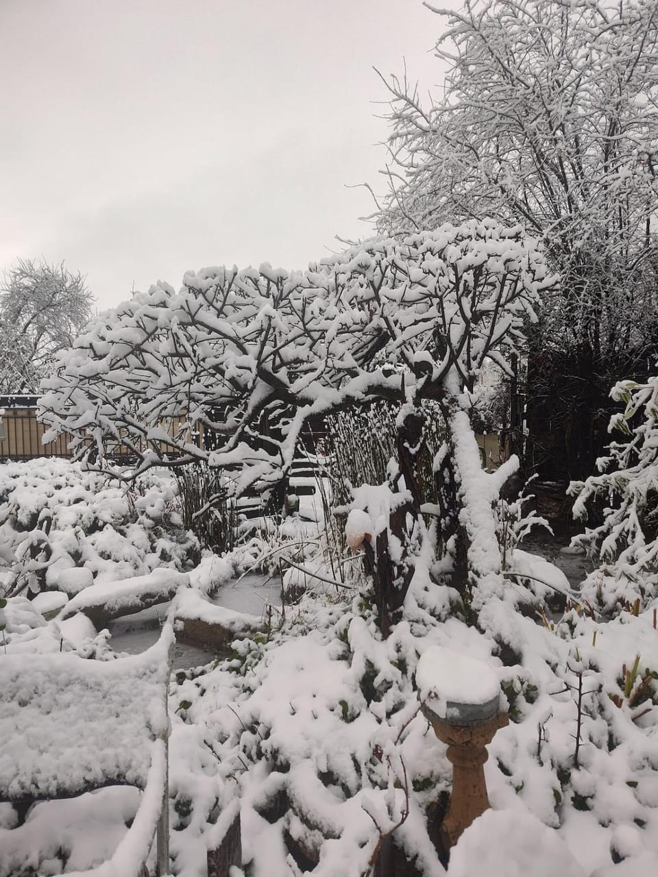 Natural landscape, Garden view