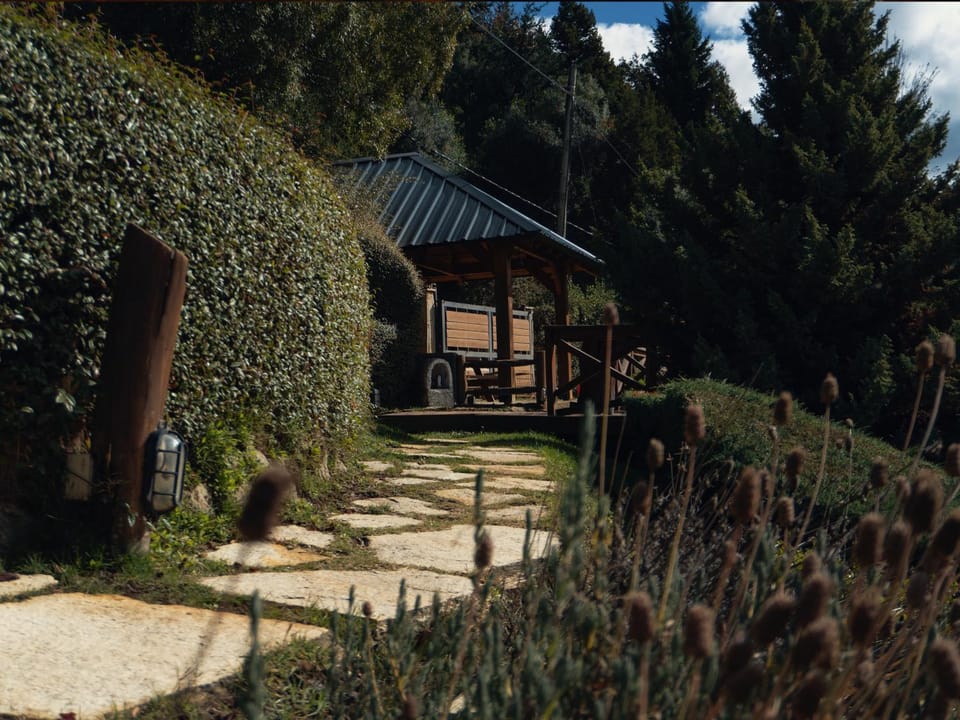 Day, Natural landscape, Garden, Garden view