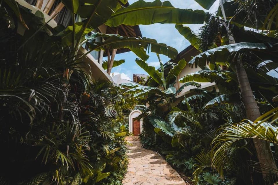 Natural landscape, Garden