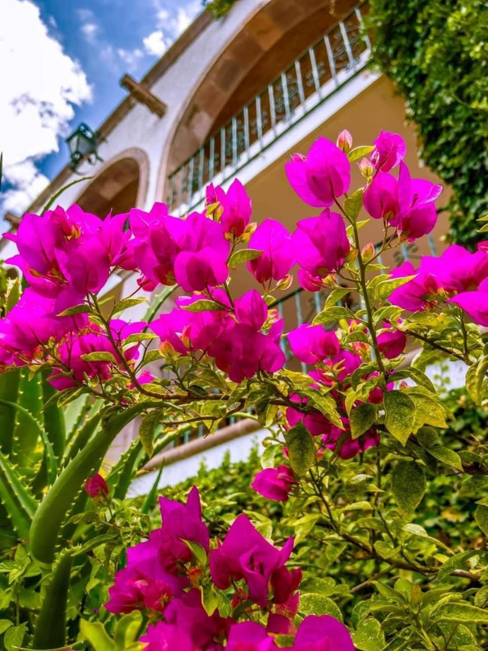 hotel la ermita suites Apartment hotel in San Miguel de Allende