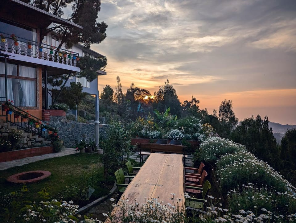 Garden, Sunrise