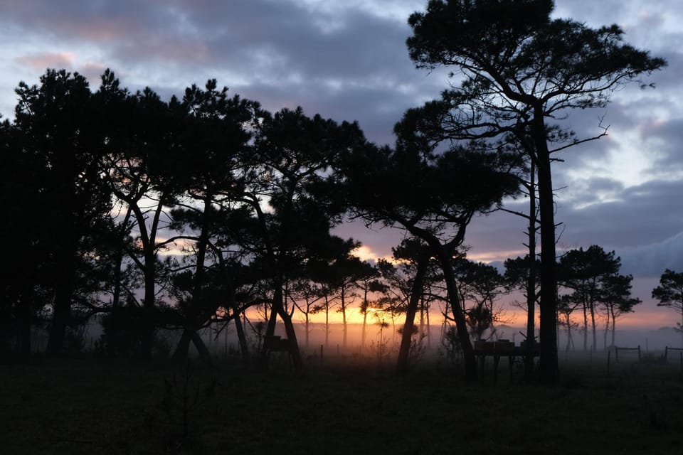 Sunrise