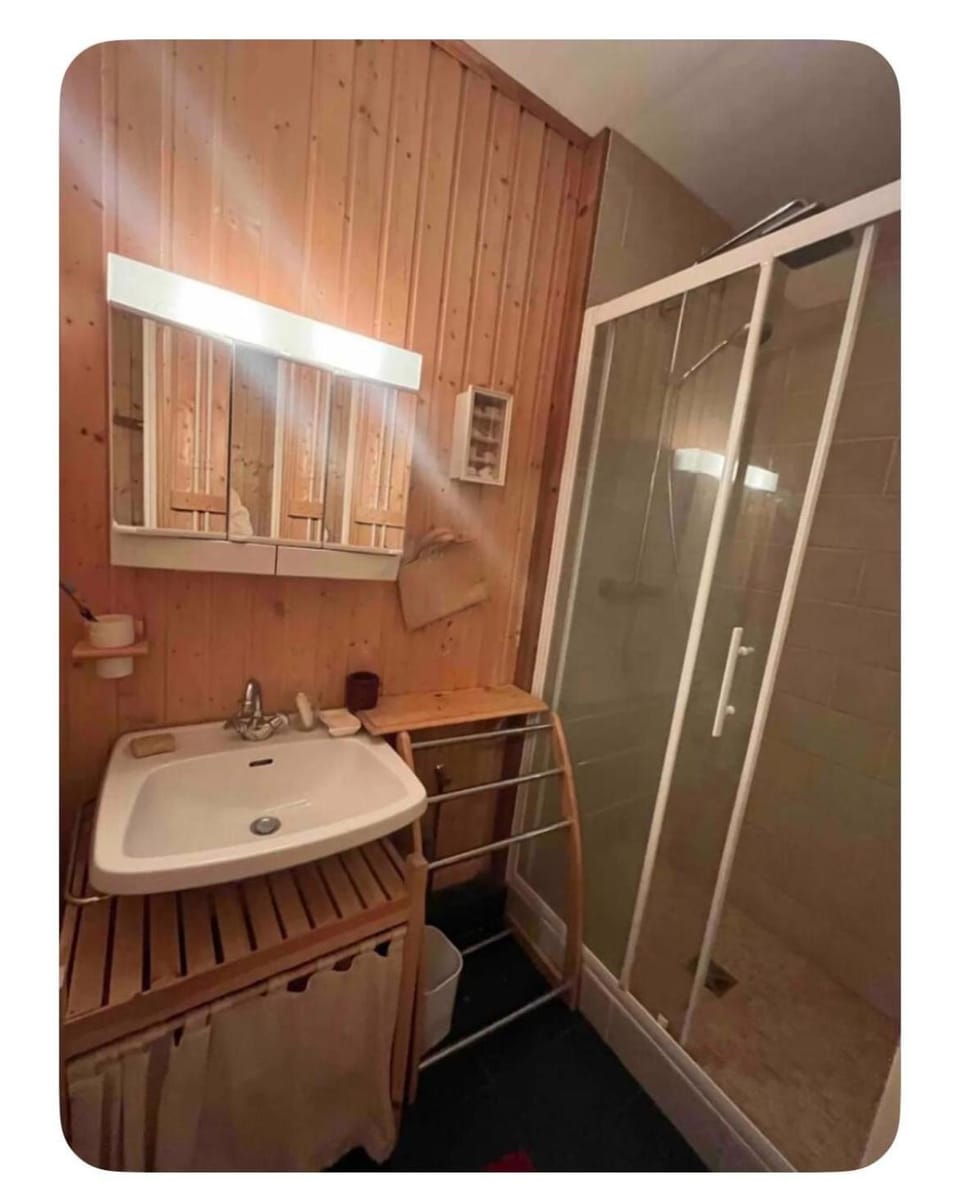 Les Pleiades Apartment in Huez