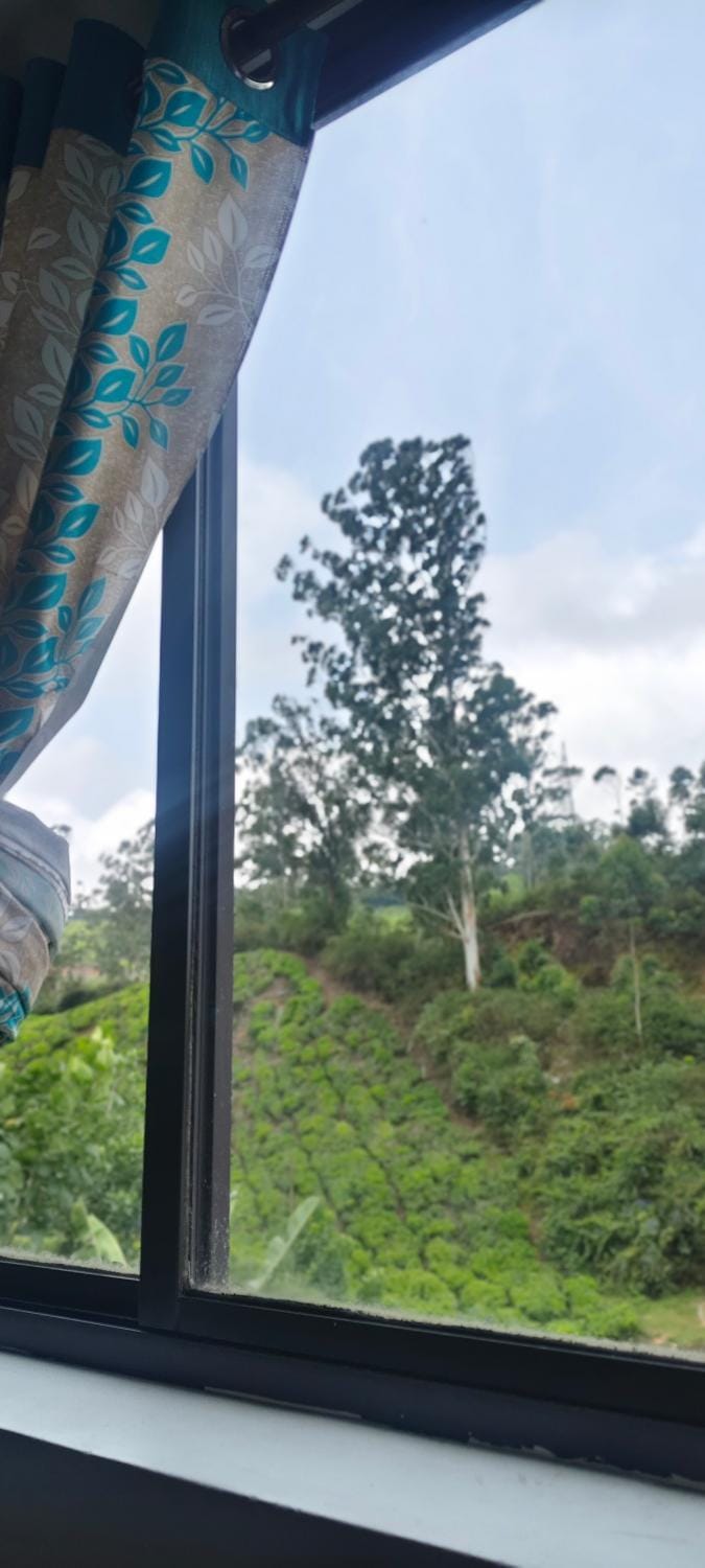 Alpha A cube House in Munnar