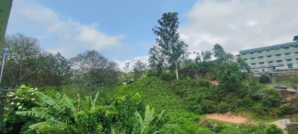 Alpha A cube House in Munnar