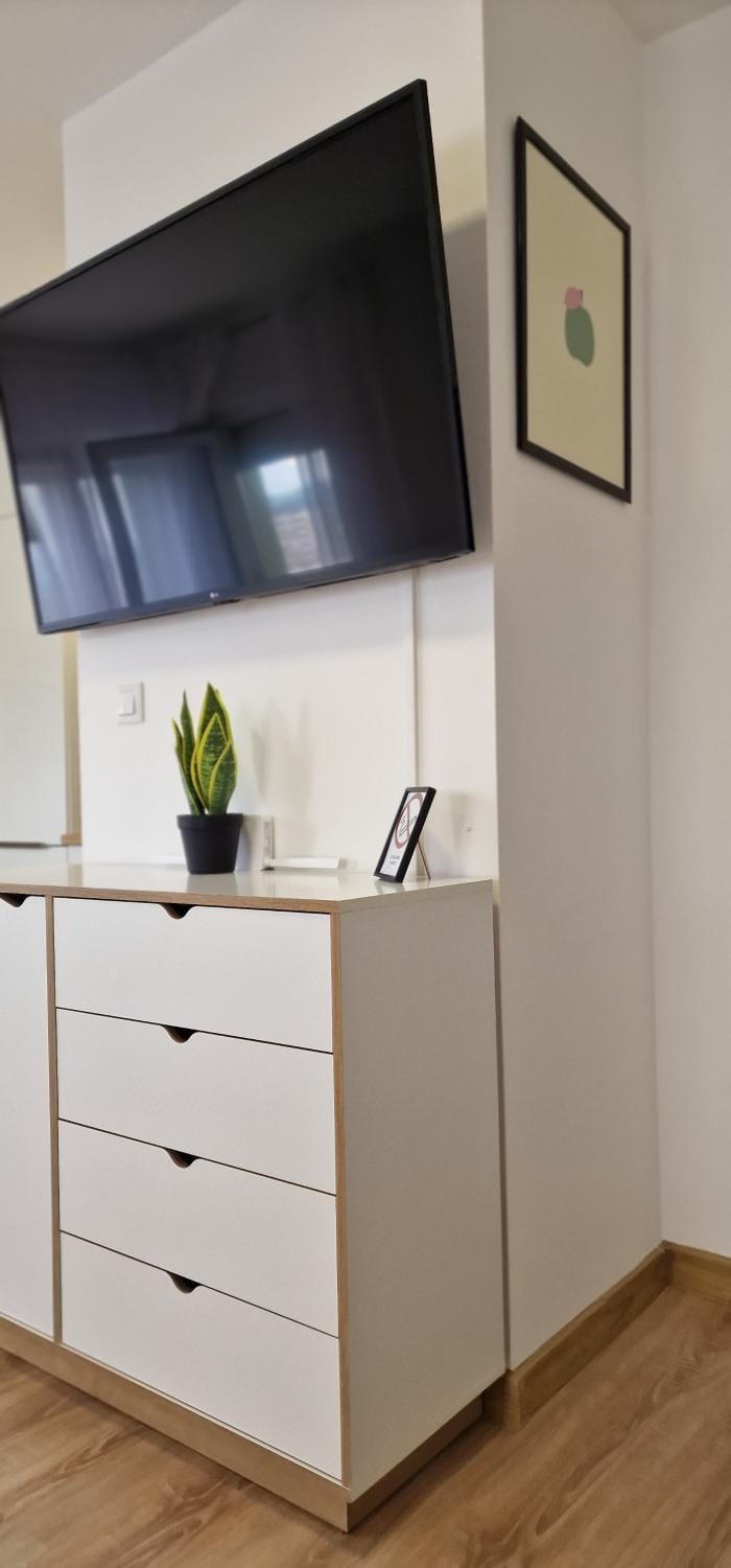 TV and multimedia