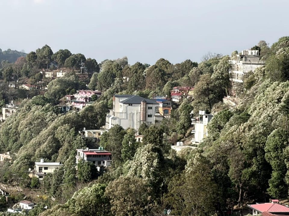 Rautela Homestay Vacation rental in Uttarakhand