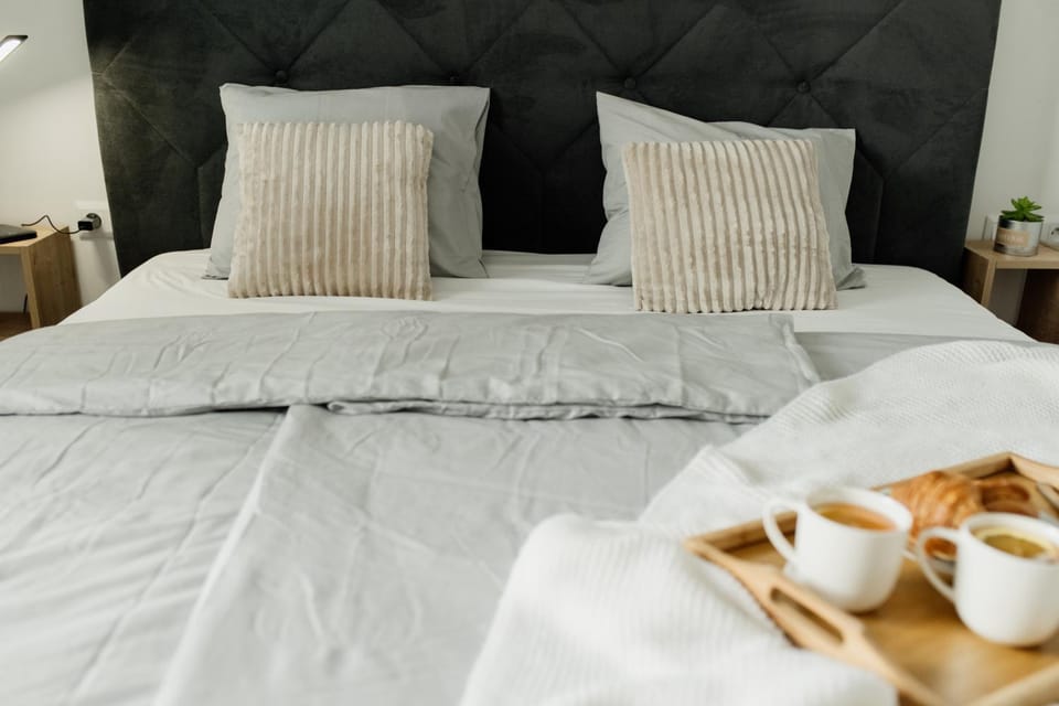 Stylish Apartment Near City Center with Parking Apartment in Bratislava