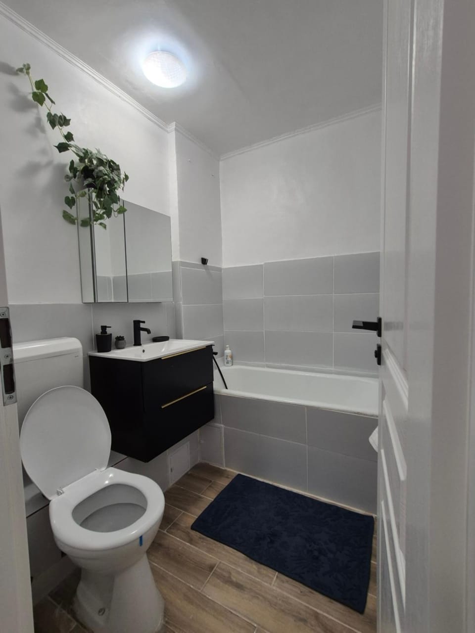 Toilet, Bathroom, Bath