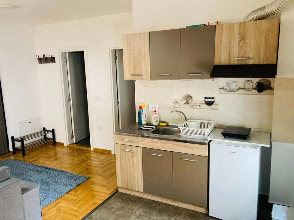 Apartman 4 you 4 Apartment in Belgrade