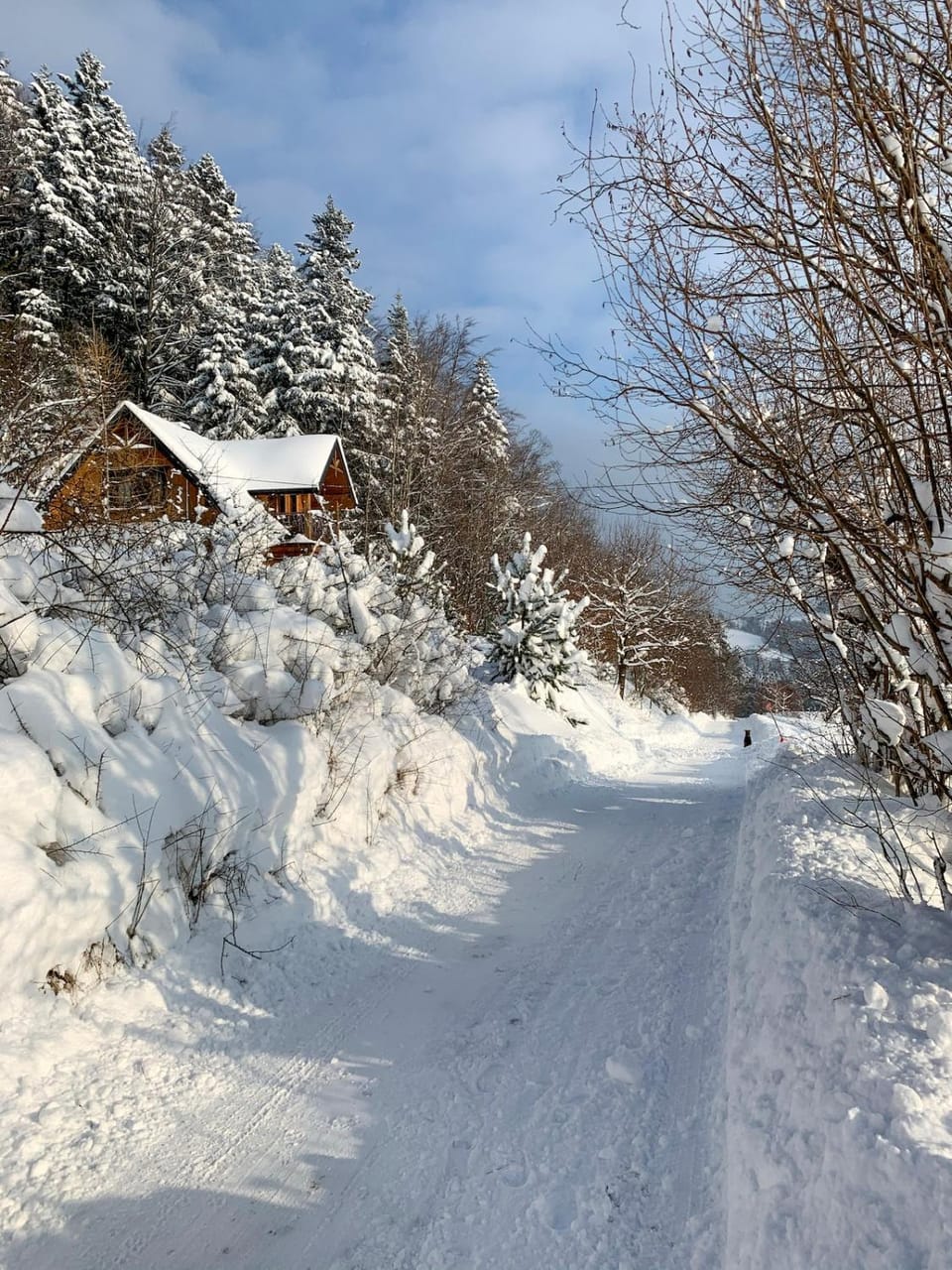 Wesoły domek na czerwonym szlaku House in Lesser Poland Voivodeship