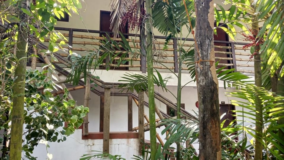 Balcony/Terrace, Garden view