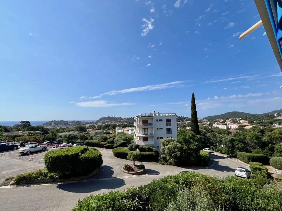 Day, Neighbourhood, Natural landscape