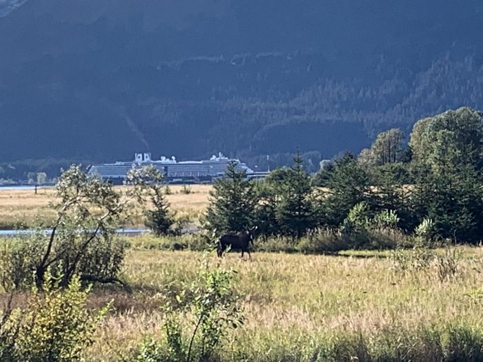 Scenic Creekside Cabin with Panoramic Bay & Mountain Views in Seward, Alaska Cabin in Seward