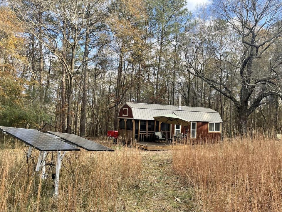 Serene Forest Cabin with Hammock, Loft & Reading Nook in La Grange, Georgia Cabin in LaGrange