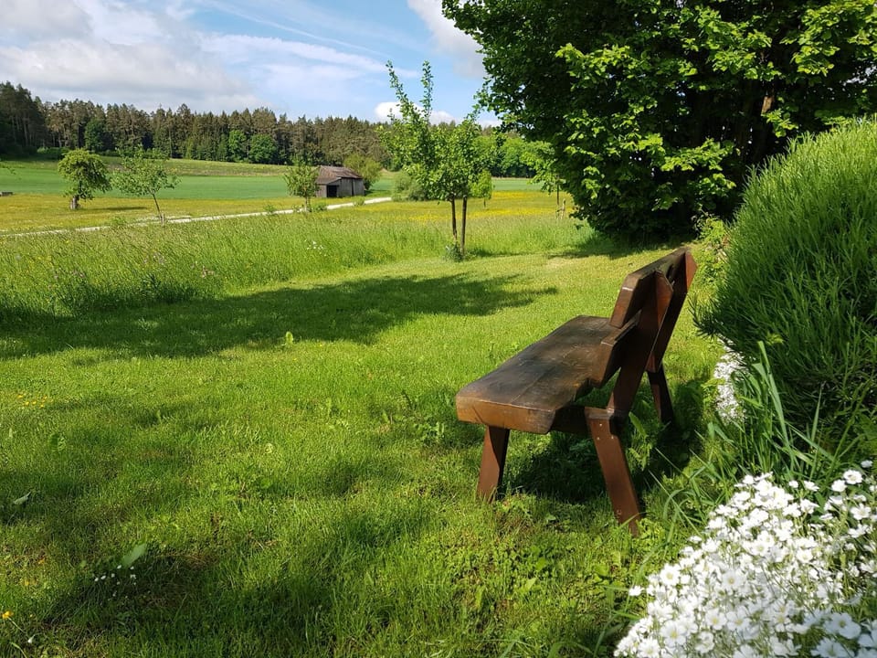 Natural landscape, View (from property/room)