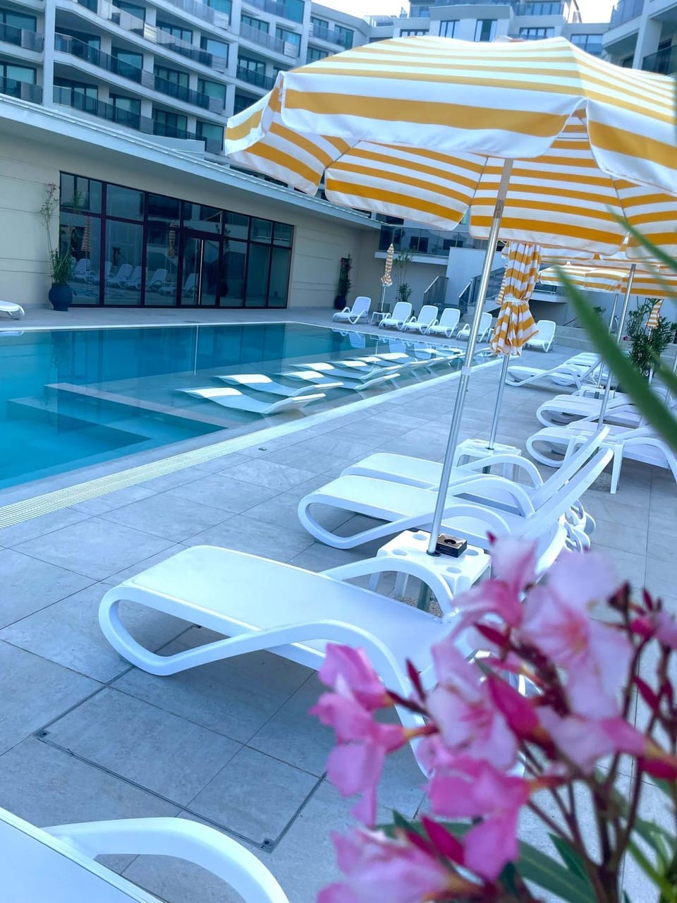 Day, Pool view, Swimming pool, Swimming pool, sunbed