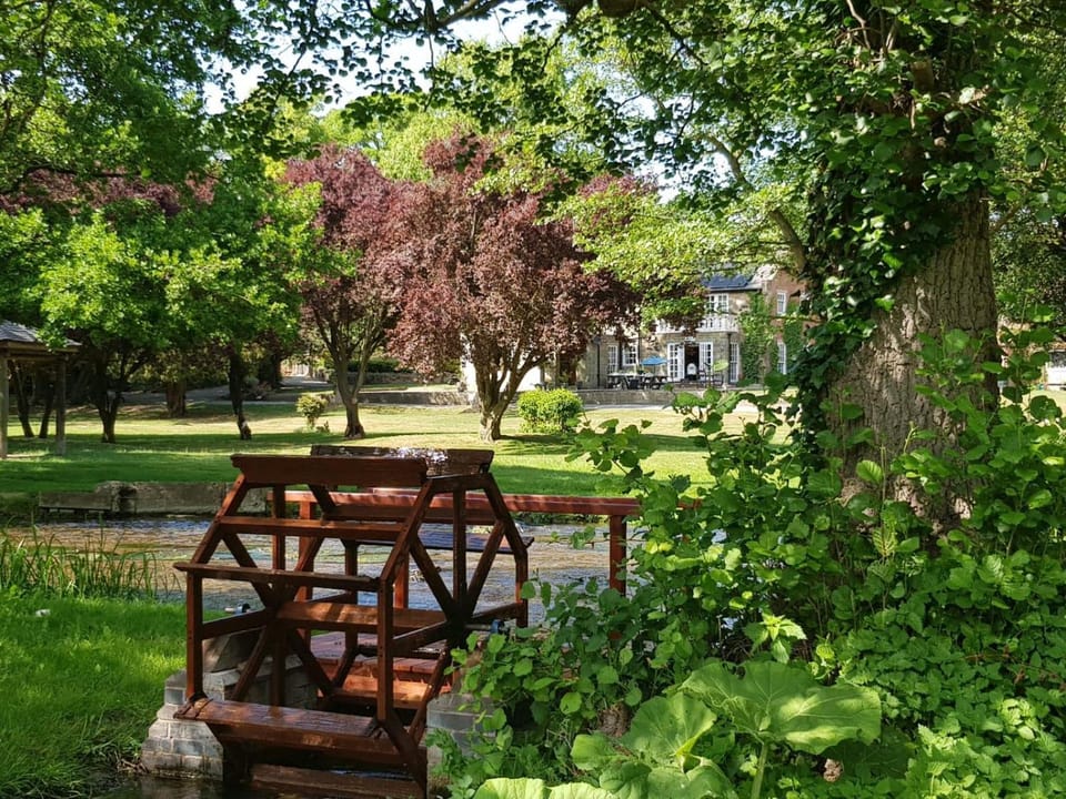 Natural landscape, Garden, Garden view