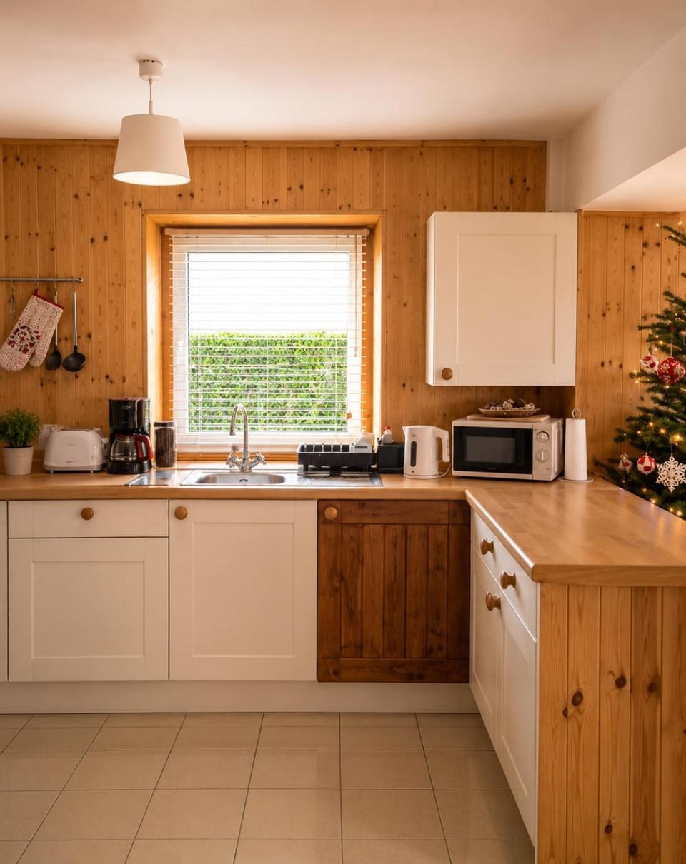 Kitchen or kitchenette, stove, kitchen