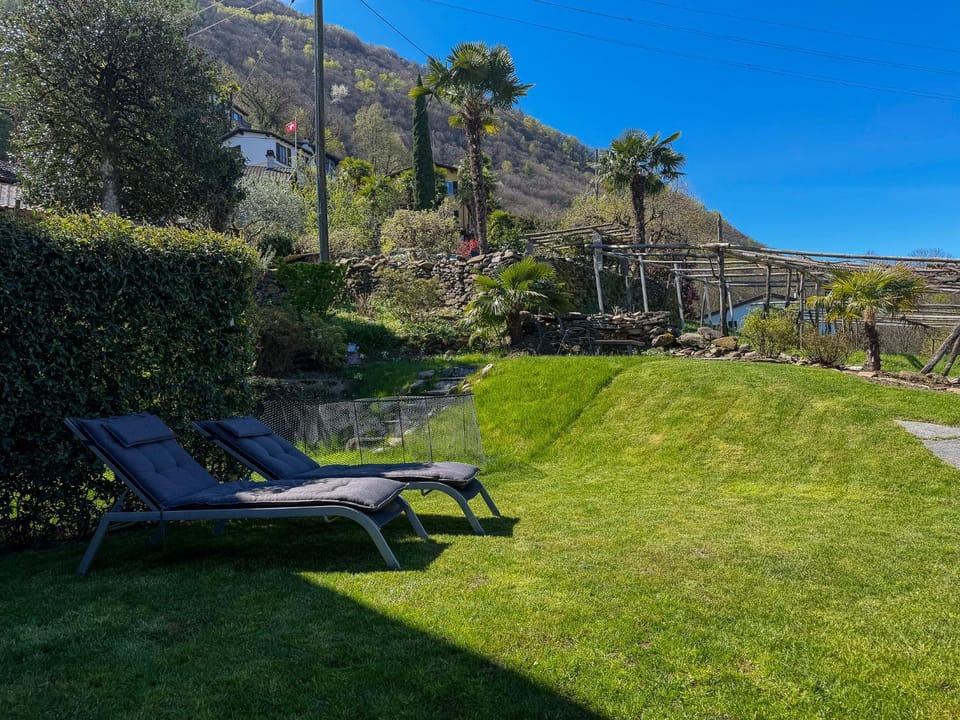 Garden view