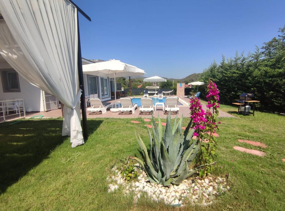 Patio, Summer, Garden