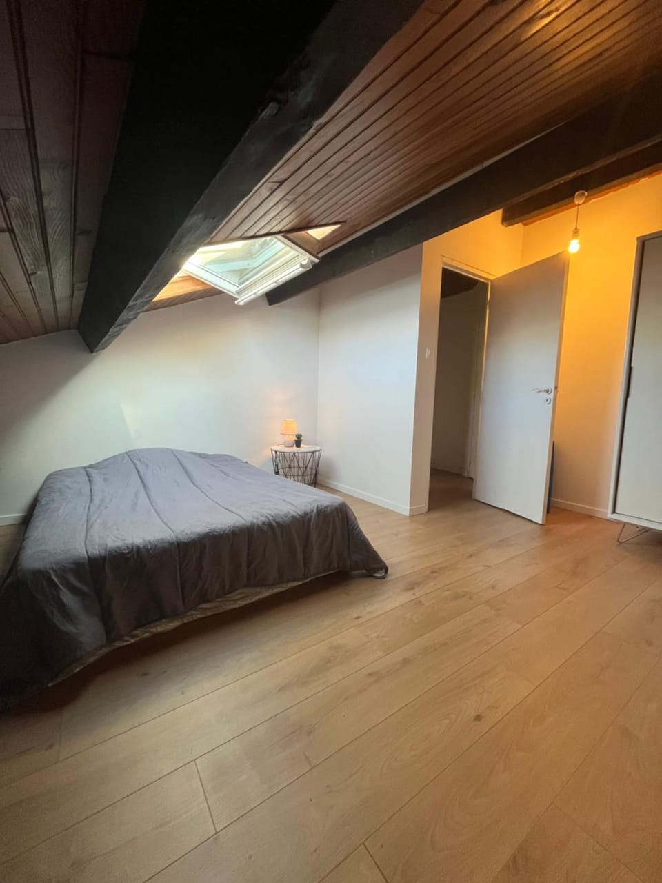Grande chambre dans grand appartement Vacation rental in Toulouse