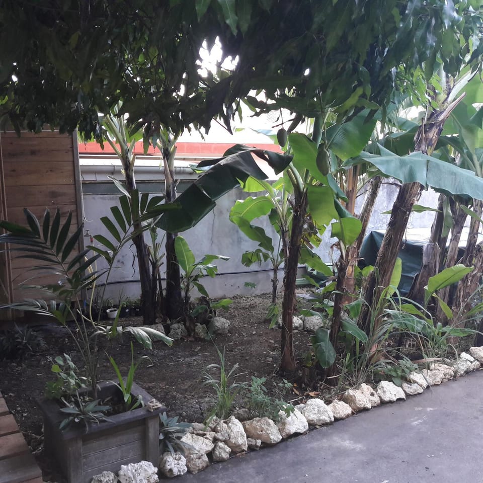 Karukelok Vacation rental in Le Gosier