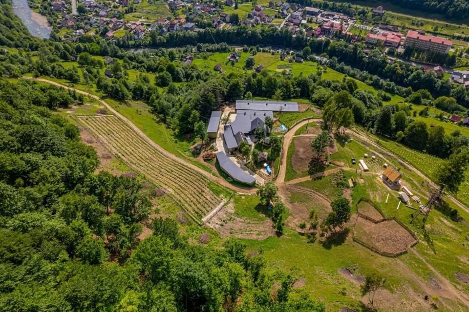 Spring, Bird's eye view