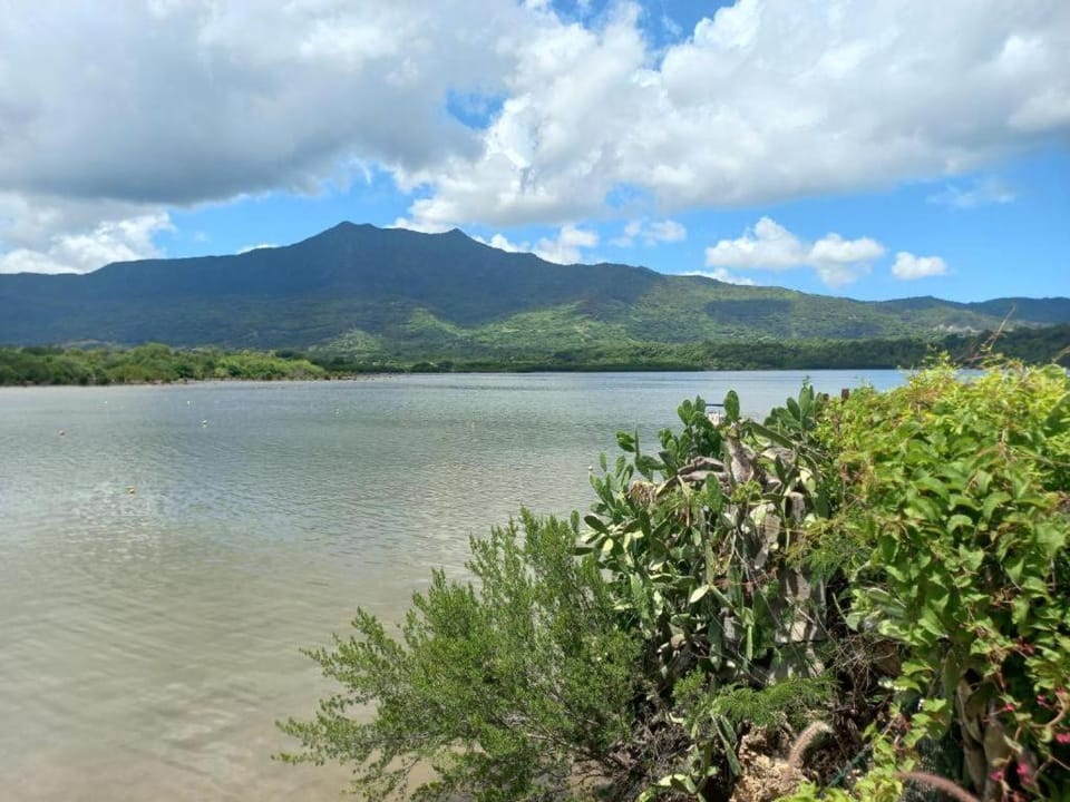 Stunning Seafront Retreat with Pool- 3 bedrooms Villa in Rivière Noire District, Mauritius