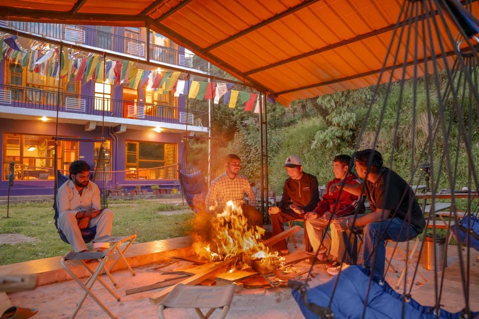 Night, Evening entertainment, group of guests