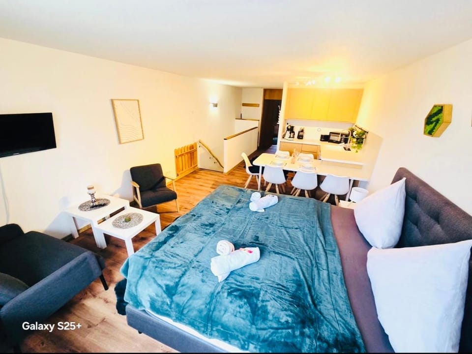 Ferienwohnung Harmonia inklusive Hallenbad, Außenpool, Sauna & Fitnessstudio, familienfreundlich ausgestattet, großes 2-Zimmer-Apartment Apartment in Straubing-Bogen