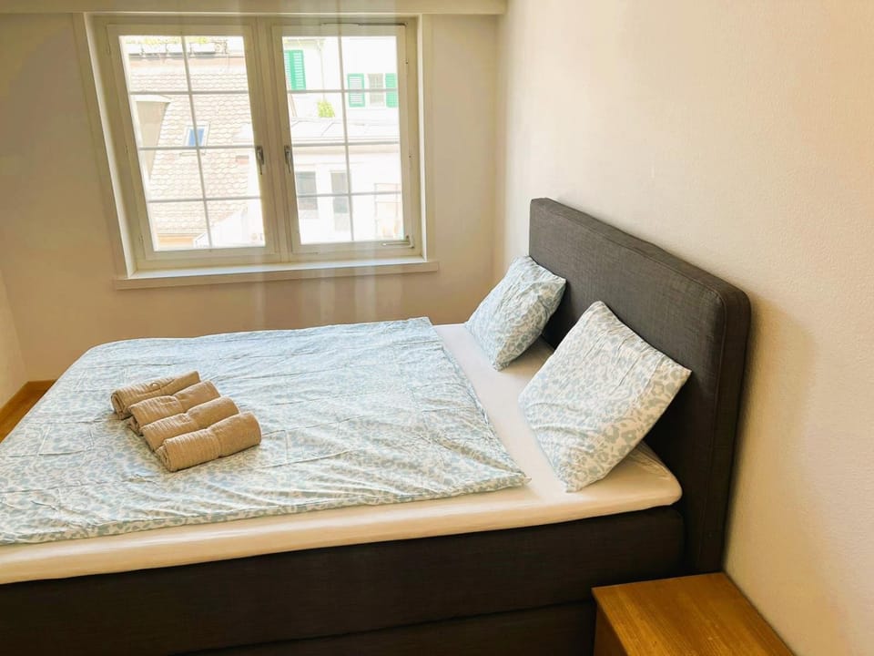 2 room Flat in Zurich Old Town Center RENN Apartment in Zurich City