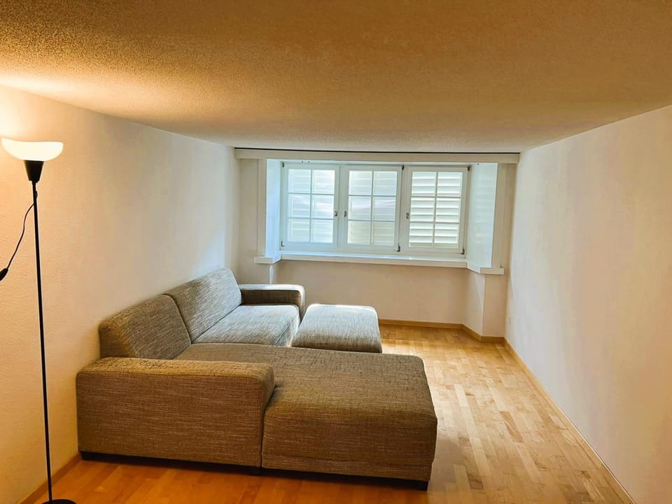 2 room Flat in Zurich Old Town Center RENN Apartment in Zurich City